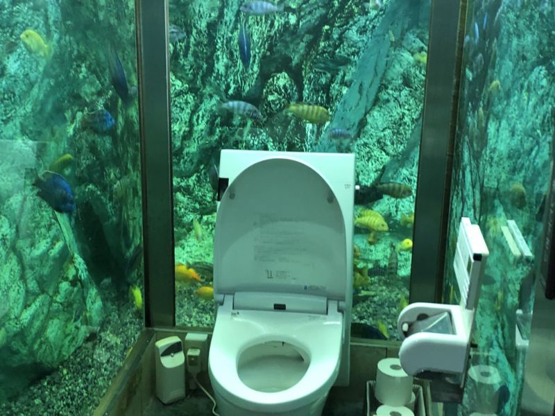 水族館トイレが凄い ヒポポパパ 海の見える絶景カフェ Filo Filo